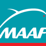 logo maaf